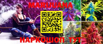 амф Обь