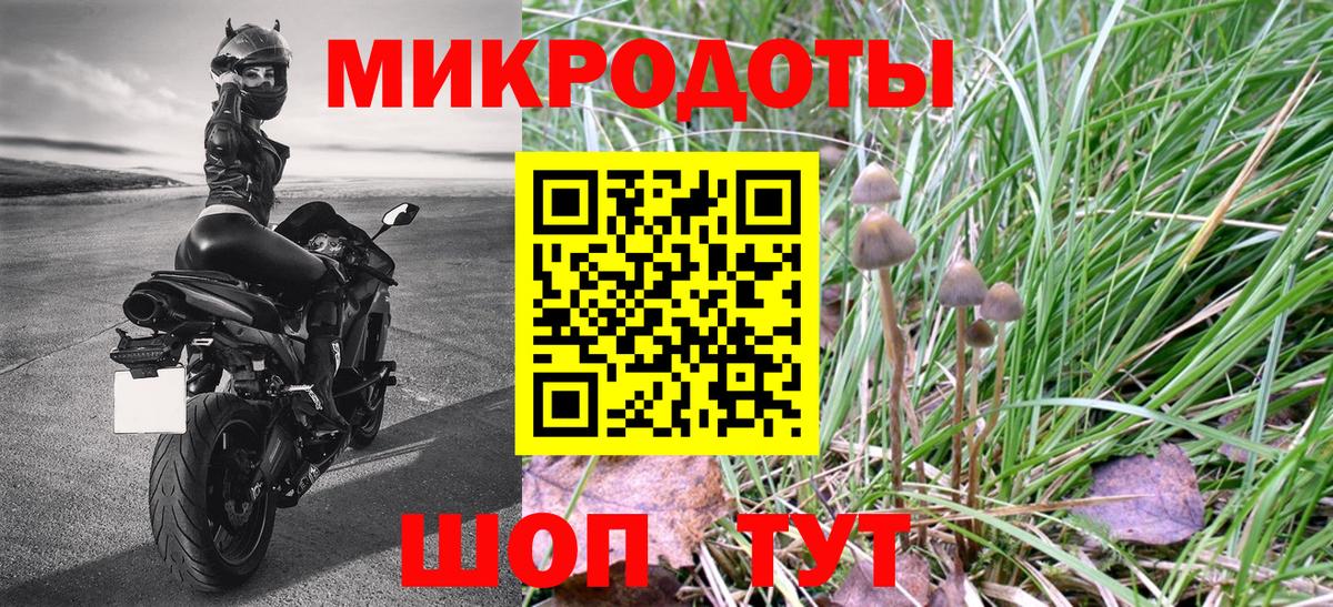 Псилоцибиновые грибы мицелий Соль-Илецк