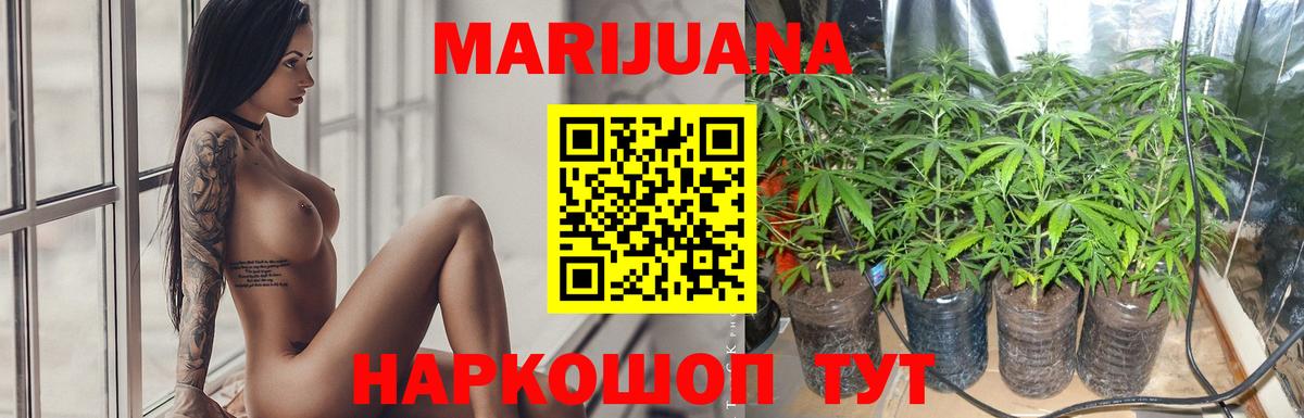 Каннабис тримм  Вход с VPN  Соль-Илецк  Бошки марихуана планчик  Каннабис VHQ 